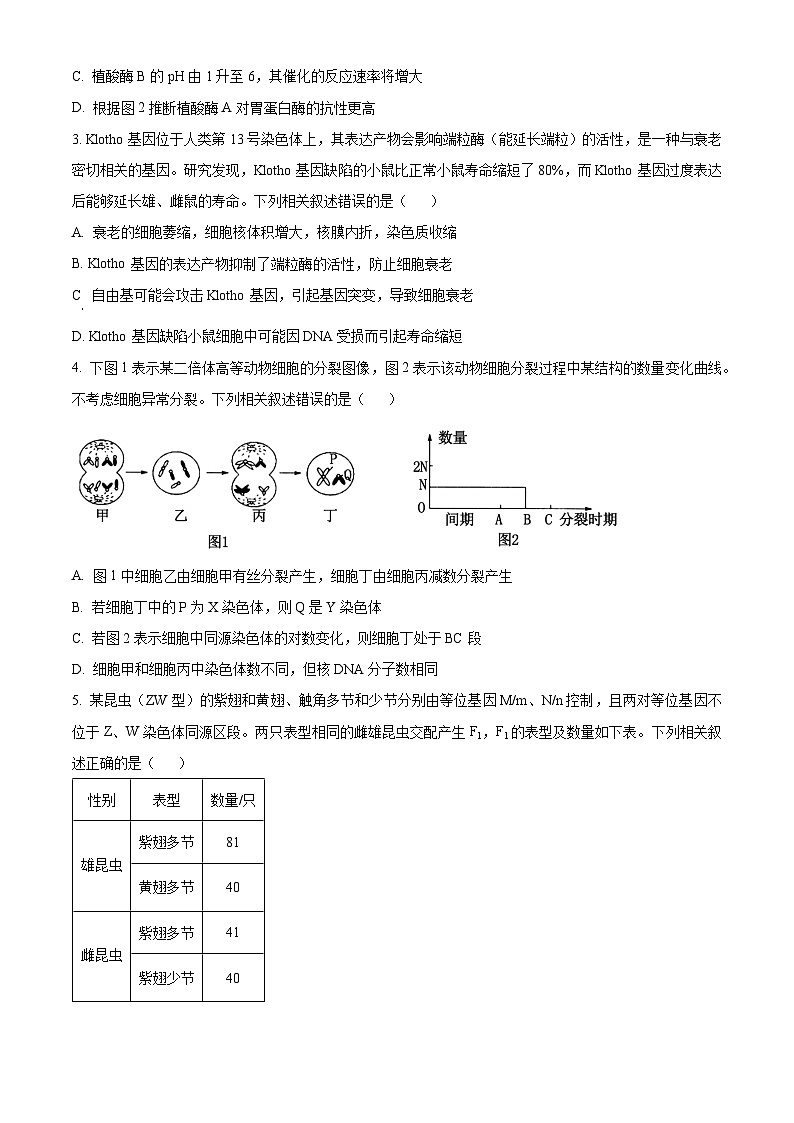 江西省2024届重点中学盟校高三下学期第二次联考生物试题（Word版附解析）02