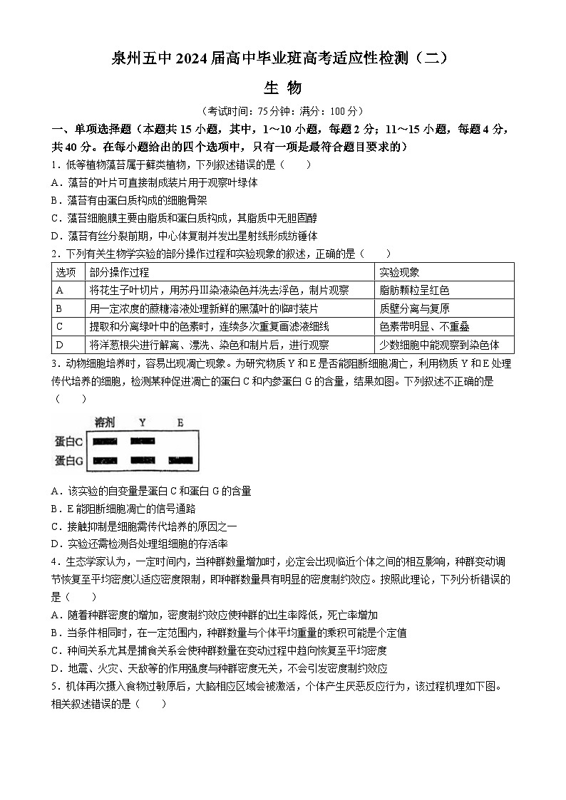 福建省泉州第五中学2024届高三下学期二模生物试题（Word版附答案）01