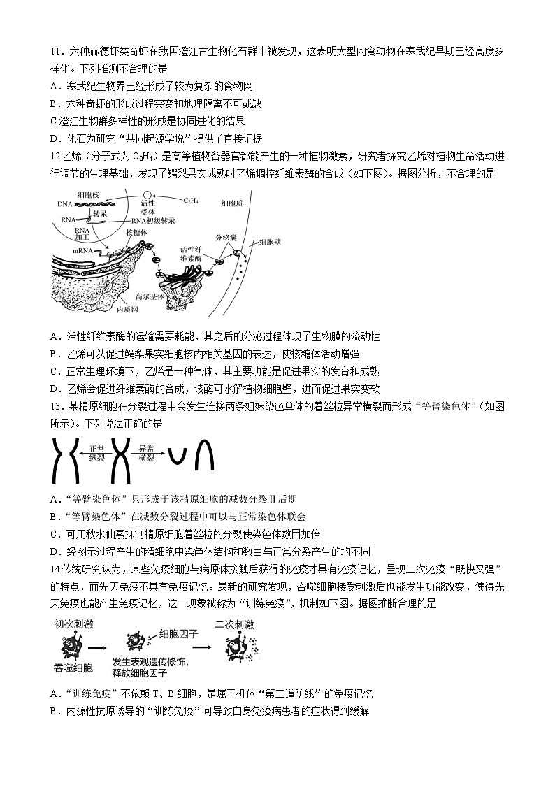 广东省华南师范大学附属中学2024届高三下学期三模生物试题（Word版附答案）03