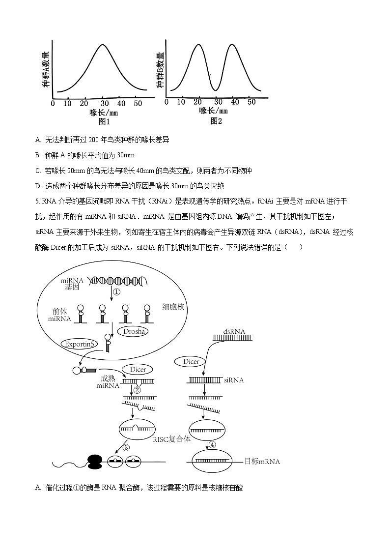 辽宁省沈阳市第一二〇中学2024届高三下学期最后一卷生物试题（Word版附解析）第2页
