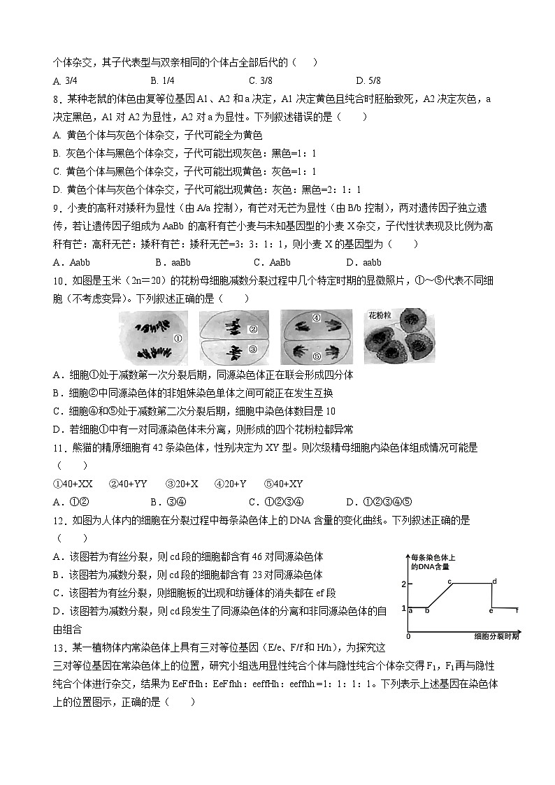 四川省成都市石室中学2023-2024学年高一下学期5月月考生物试题（Word版附答案）02