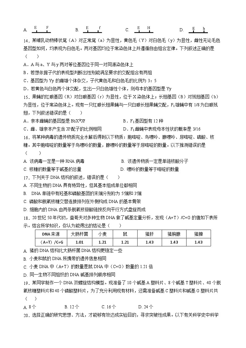 四川省成都市石室中学2023-2024学年高一下学期5月月考生物试题（Word版附答案）03