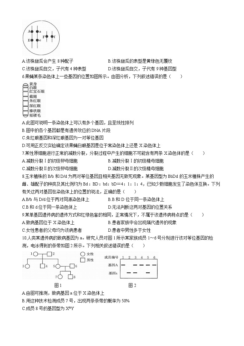 四川省雅安中学、石棉中学2023-2024学年高一下学期5月月考生物试题（Word版附解析）02