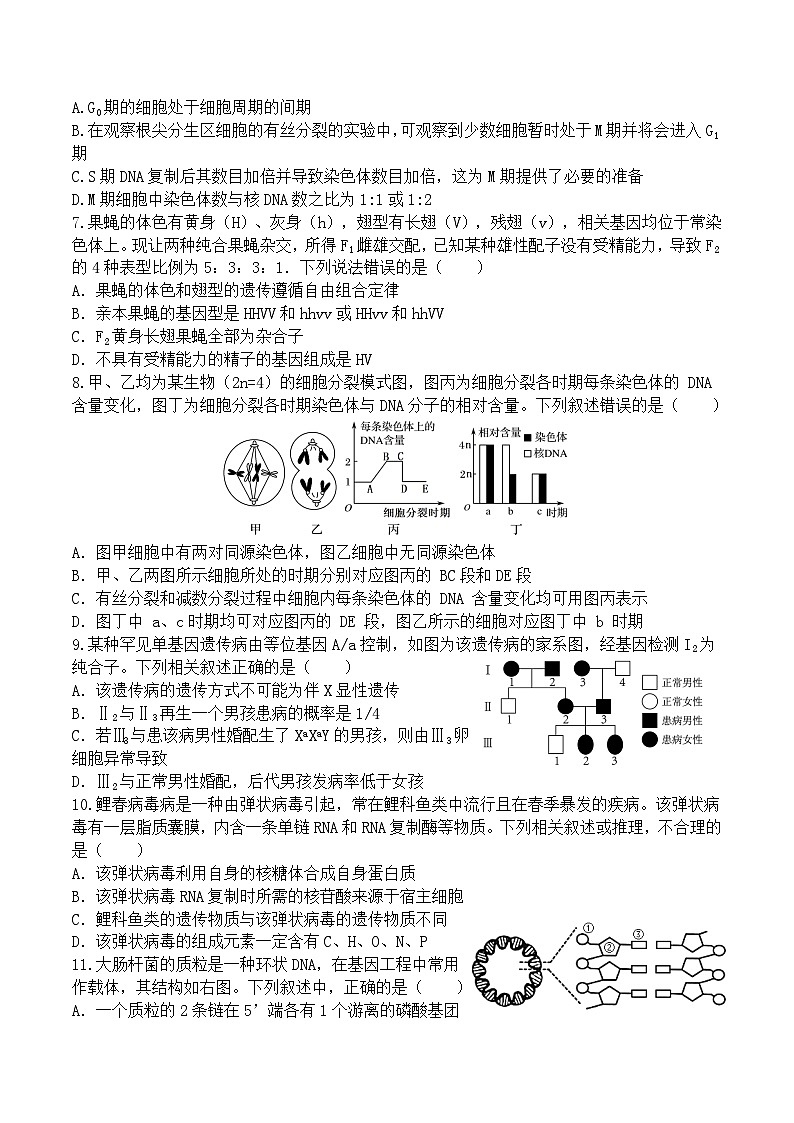 重庆市城口县重庆市城口中学校2023-2024学年高一下学期期末考试生物学试题02
