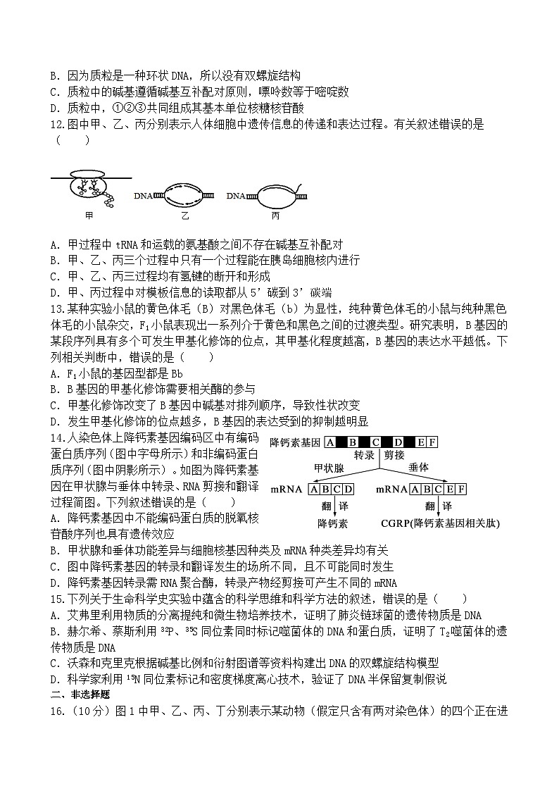 重庆市城口县重庆市城口中学校2023-2024学年高一下学期期末考试生物学试题03