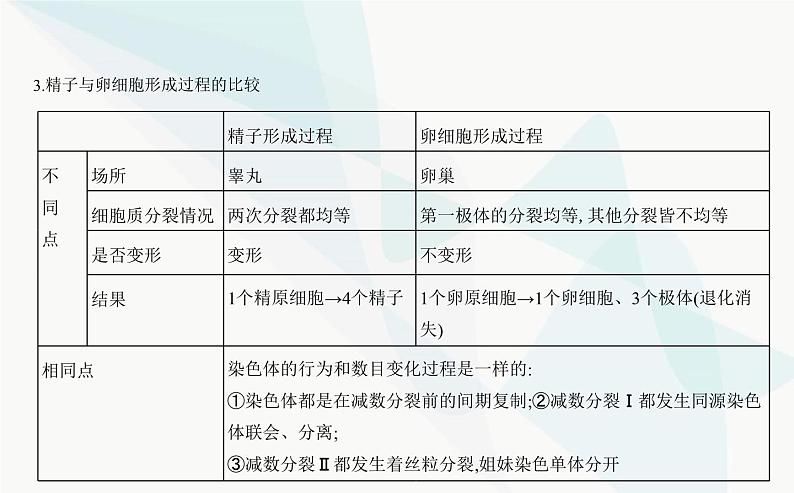 人教版高中生物必修2第2章基因和染色体的关系第1节减数分裂和受精作用课件第8页