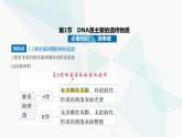 人教版高中生物必修2第3章基因的本质第1节DNA是主要的遗传物质课件
