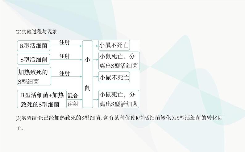 人教版高中生物必修2第3章基因的本质第1节DNA是主要的遗传物质课件第3页