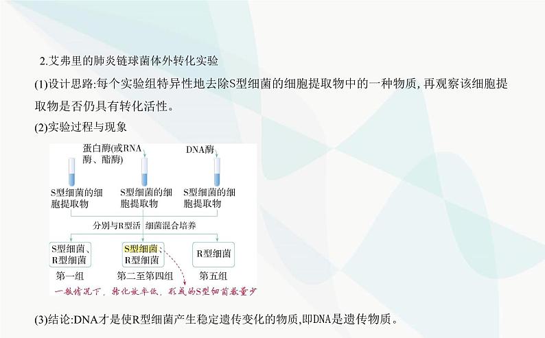 人教版高中生物必修2第3章基因的本质第1节DNA是主要的遗传物质课件第4页