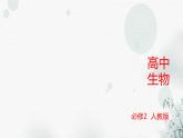 人教版高中生物必修2第3章基因的本质第2节DNA的结构课件