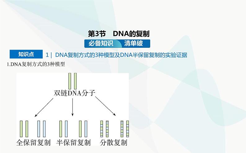 人教版高中生物必修2第3章基因的本质第3节DNA的复制课件第2页