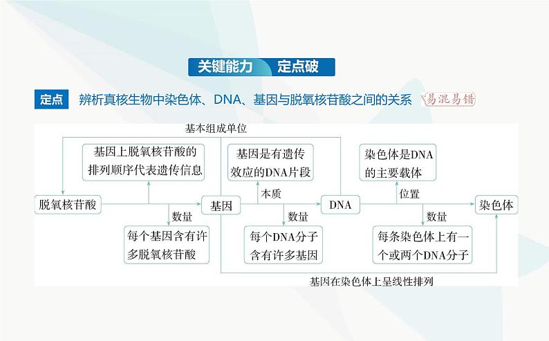 人教版高中生物必修2第3章基因的本质第4节基因通常是有遗传效应的DNA片段课件第8页