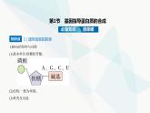 人教版高中生物必修2第4章基因的表达第1节基因指导蛋白质的合成课件