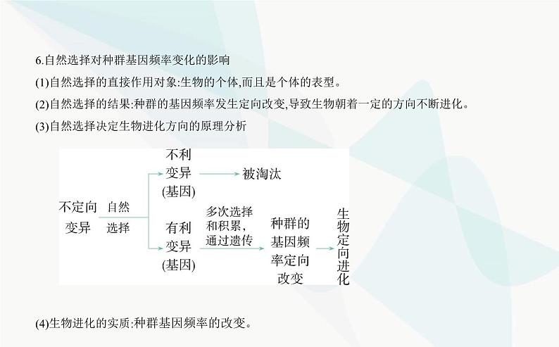 人教版高中生物必修2第6章生物的进化第3节种群基因组成的变化与物种的形成课件05