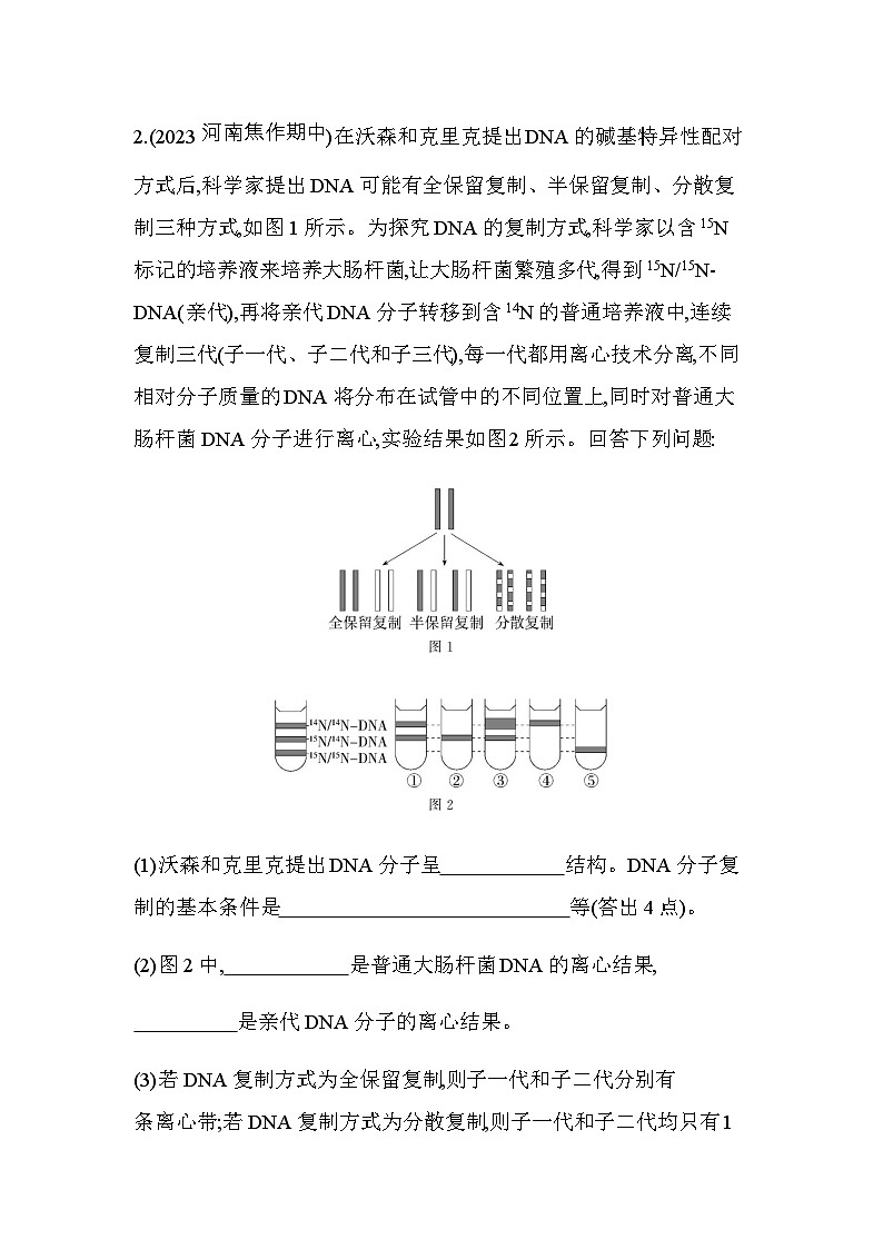 人教版高中生物必修2第3章基因的本质第3节DNA的复制基础练含答案02