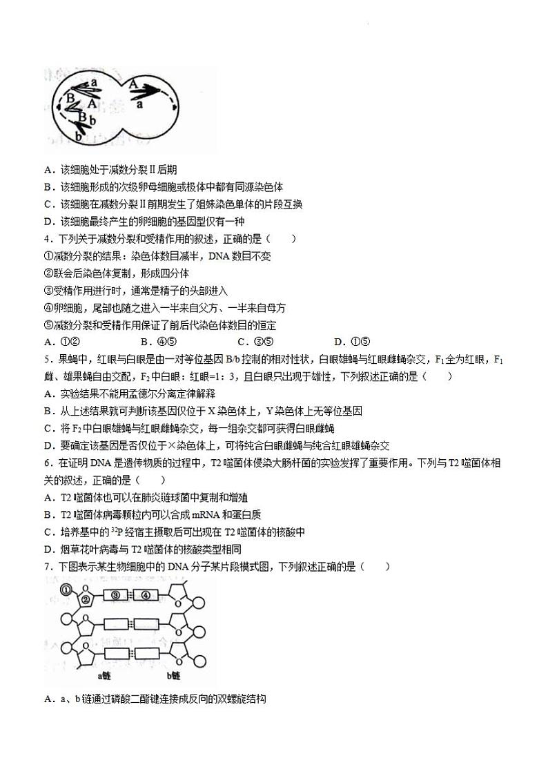 生物-甘肃省武威市2023-2024学年高一下学期6月月考第2页