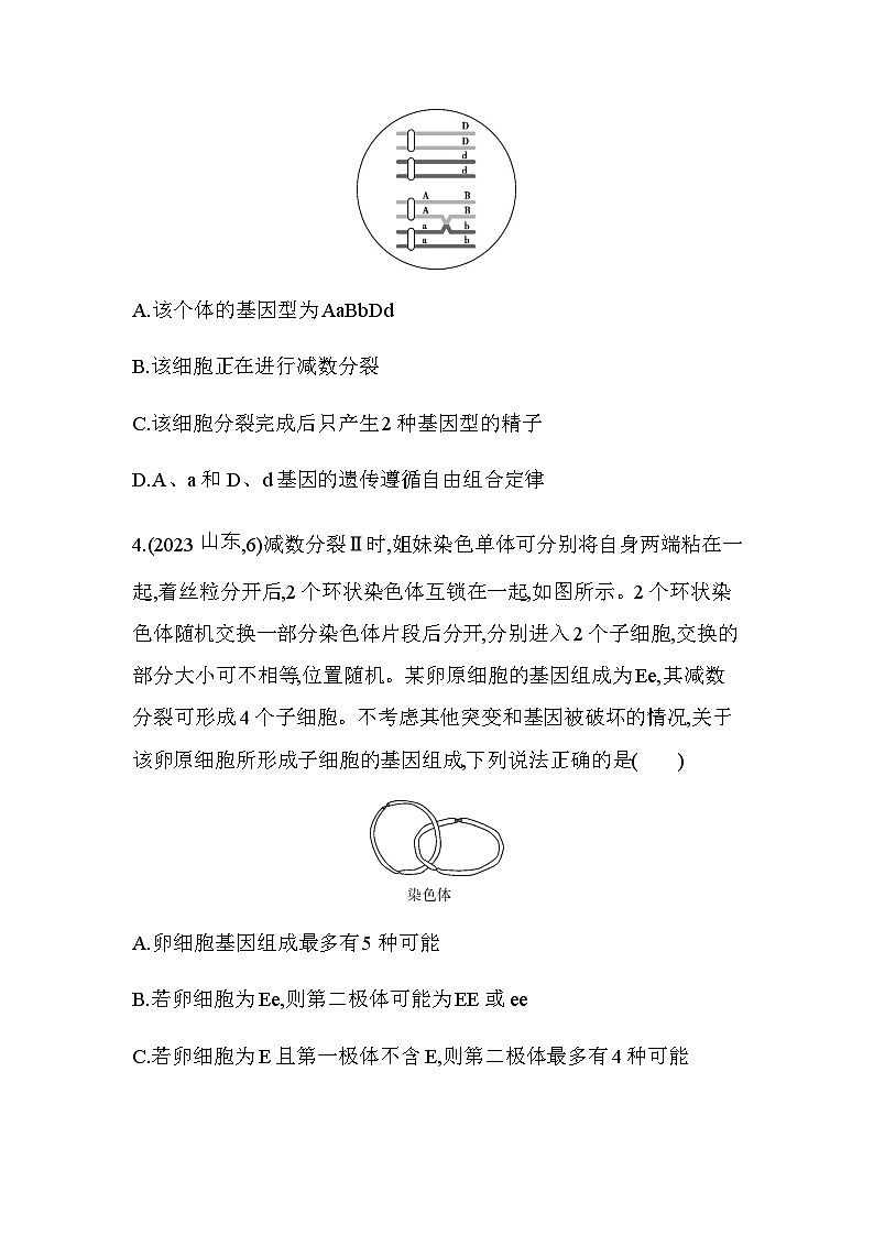 人教版高中生物必修2第2章基因和染色体的关系综合拔高练含答案第2页