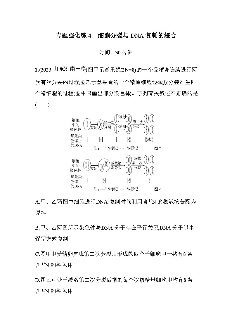 人教版高中生物必修2第3章基因的本质专题强化练4细胞分裂与DNA复制的综合含答案第1页