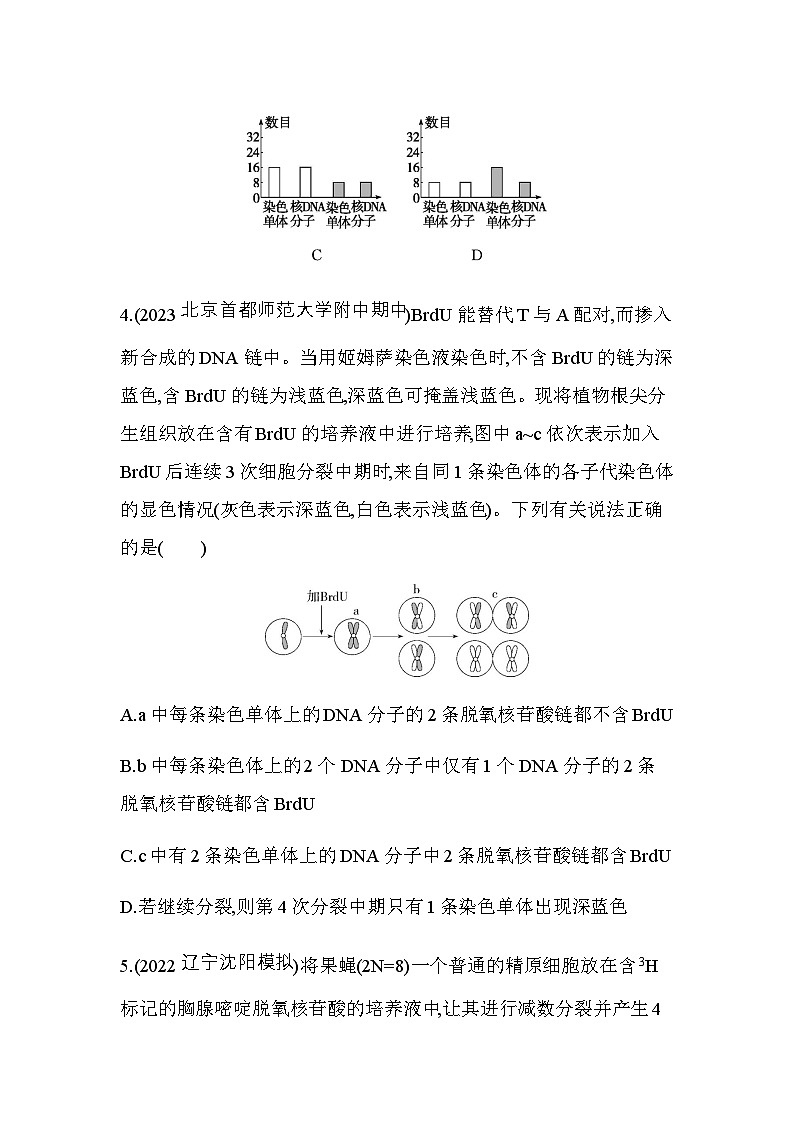 人教版高中生物必修2第3章基因的本质专题强化练4细胞分裂与DNA复制的综合含答案第3页