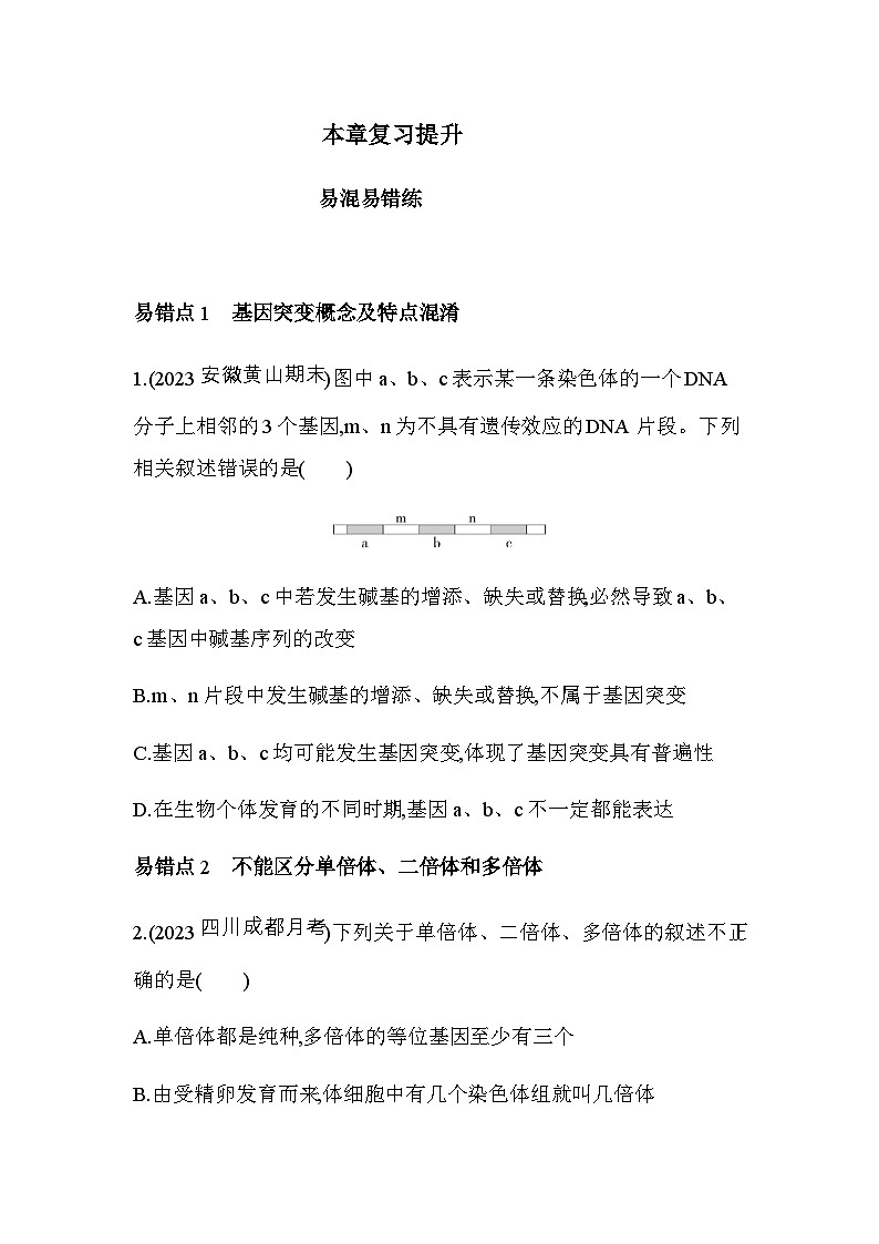 人教版高中生物必修2第5章基因突变及其他变异复习提升练含答案01