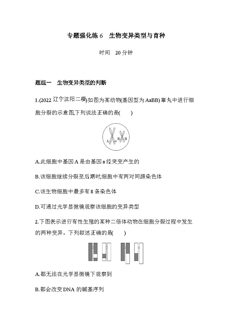 人教版高中生物必修2第5章基因突变及其他变异专题强化练6生物变异类型与育种含答案01