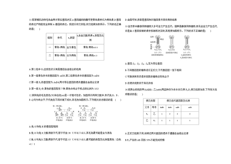 人教版高中生物必修2第1章遗传因子的发现检测含答案第3页