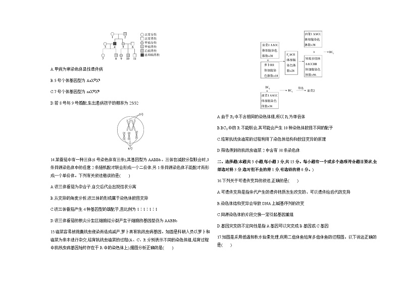 人教版高中生物必修2第5章基因突变及其他变异检测含答案第3页