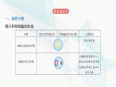 人教版高中生物必修2第2章基因和染色体的关系课件