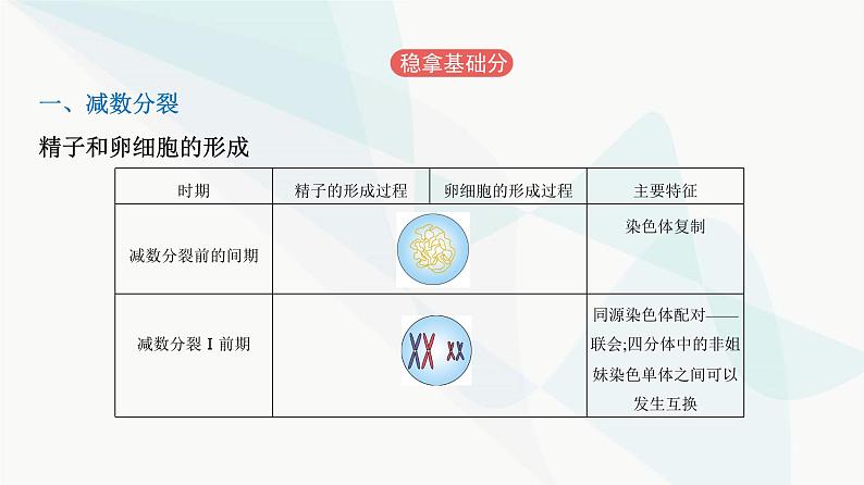 人教版高中生物必修2第2章基因和染色体的关系课件第2页