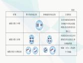 人教版高中生物必修2第2章基因和染色体的关系课件