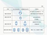 人教版高中生物必修2第2章基因和染色体的关系课件