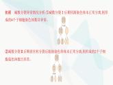 人教版高中生物必修2第2章基因和染色体的关系课件