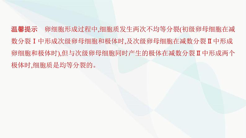 人教版高中生物必修2第2章基因和染色体的关系课件第6页