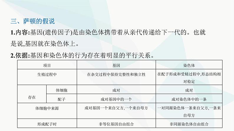 人教版高中生物必修2第2章基因和染色体的关系课件第8页