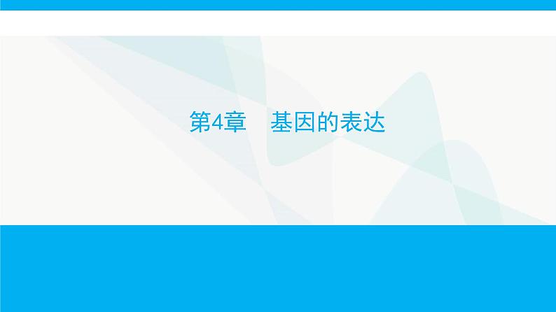 人教版高中生物必修2第4章基因的表达课件01