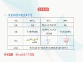 人教版高中生物必修2第4章基因的表达课件