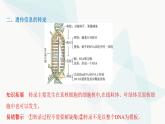人教版高中生物必修2第4章基因的表达课件
