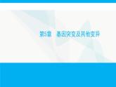 人教版高中生物必修2第5章基因突变及其他变异课件