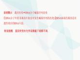 人教版高中生物必修2第5章基因突变及其他变异课件