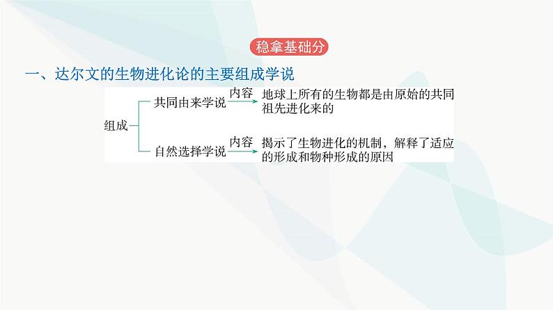 人教版高中生物必修2第6章生物的进化课件02