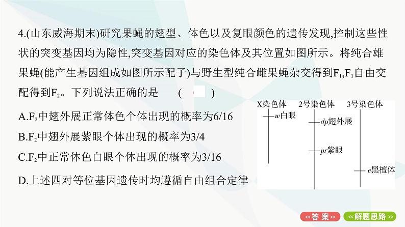 人教版高中生物必修2期末检测卷1课件第8页