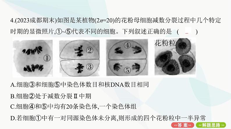 人教版高中生物必修2期末检测卷2课件第8页