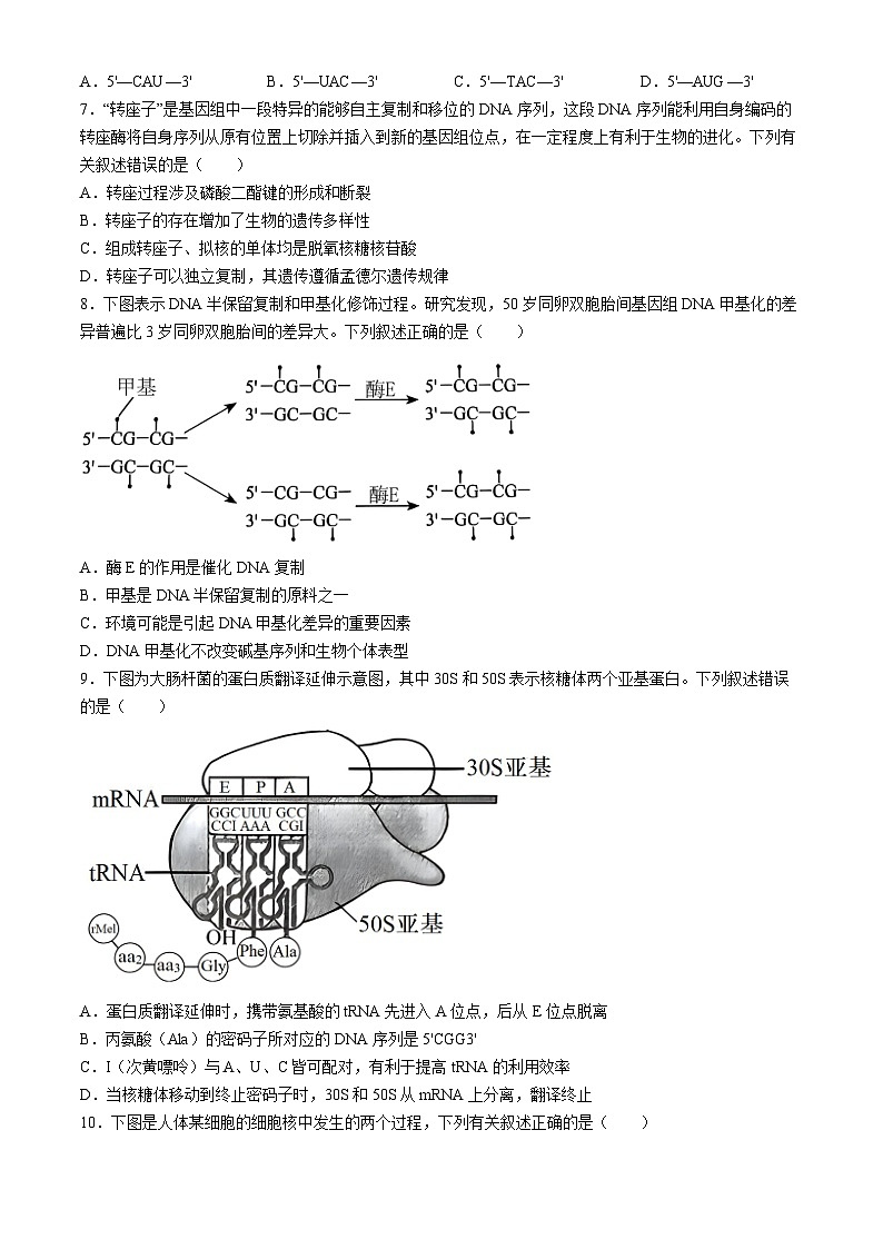 山东省菏泽市曹县第一中学2023-2024学年高一下学期第二次月考生物试题第2页