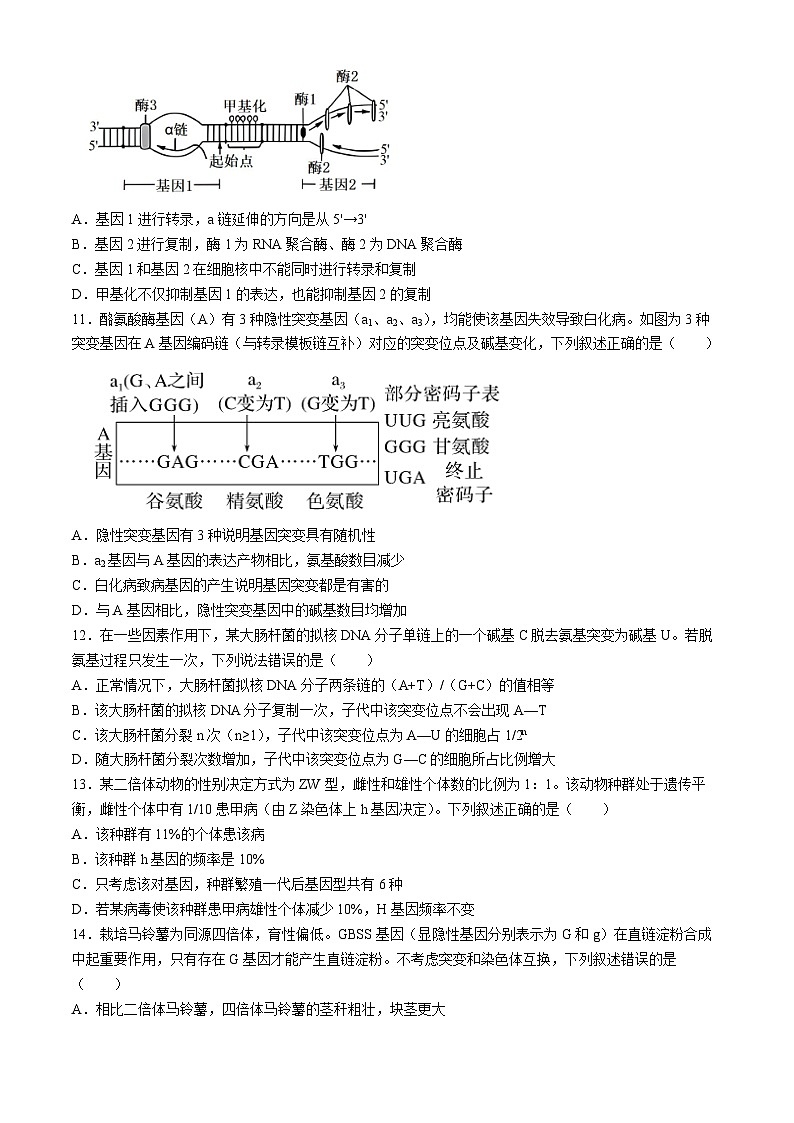 山东省菏泽市曹县第一中学2023-2024学年高一下学期第二次月考生物试题第3页