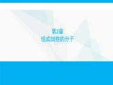 人教版高中生物必修1第2章组成细胞的分子课件