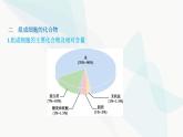 人教版高中生物必修1第2章组成细胞的分子课件