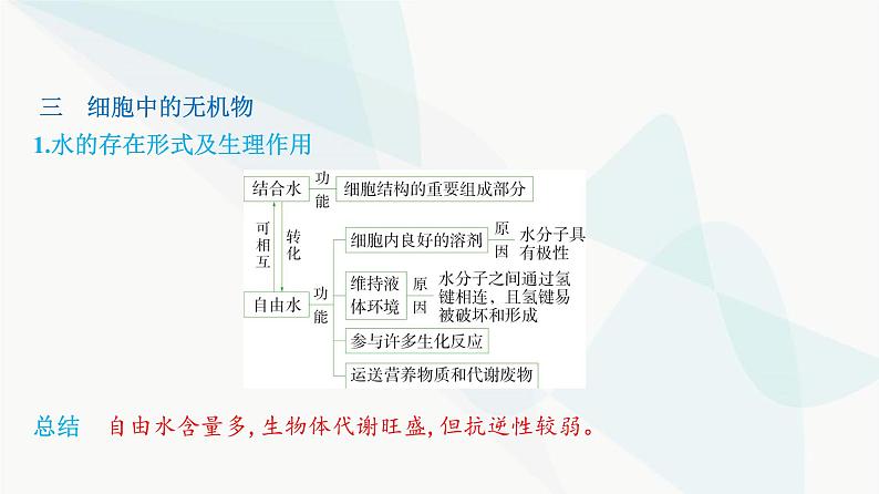 人教版高中生物必修1第2章组成细胞的分子课件第7页