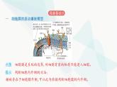 人教版高中生物必修1第3章细胞的基本结构课件