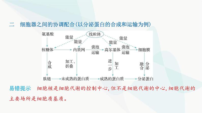 人教版高中生物必修1第3章细胞的基本结构课件03