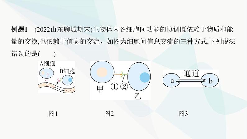 人教版高中生物必修1第3章细胞的基本结构课件06